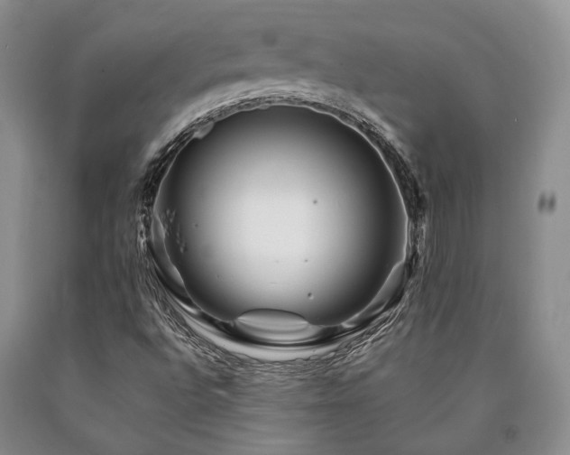 X0000090881496200707271300