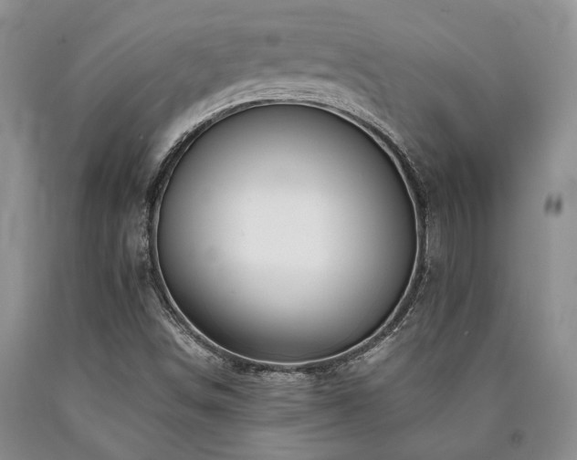 X0000090881498200707271300