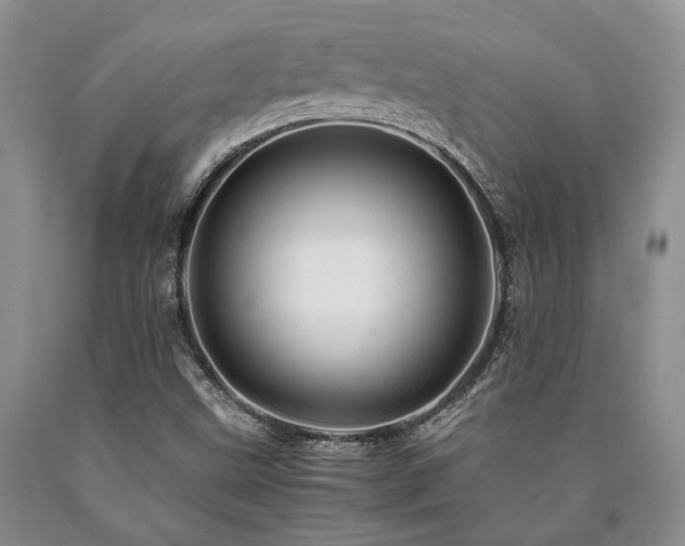 X0000090881499200707271300