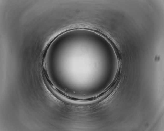 X0000090881500200707271300
