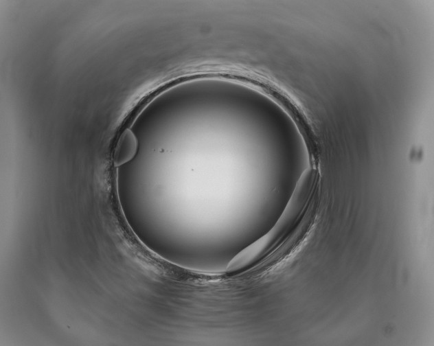 X0000090881501200707271300