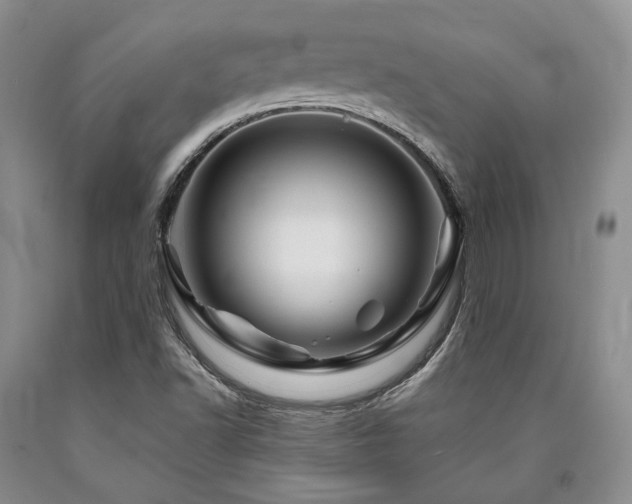 X0000090881502200707271300
