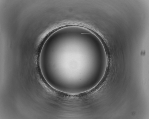 X0000090881503200707271300