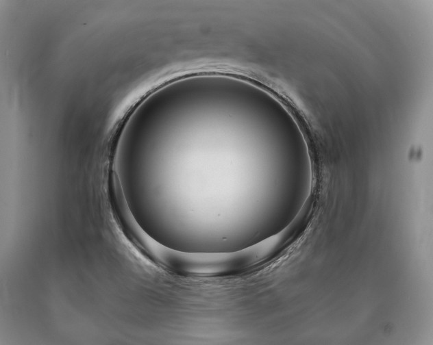 X0000090881504200707271300