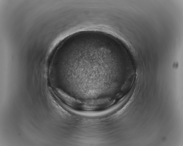 X0000090881506200707271300