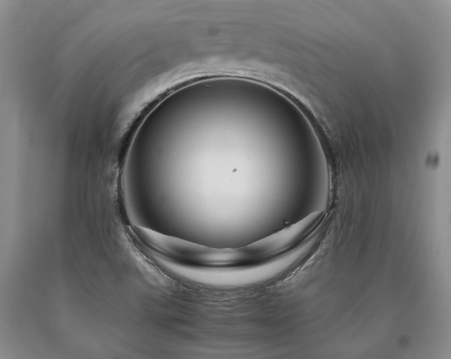 X0000090881507200707271300