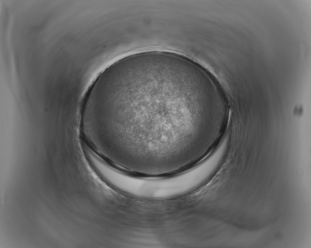 X0000090881508200707271300