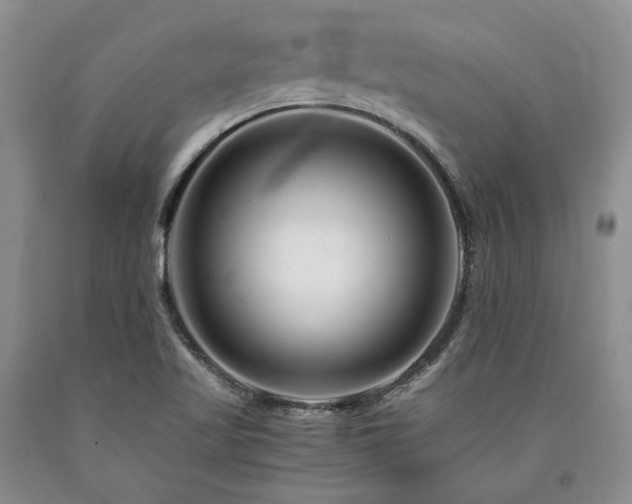 X0000090881509200707271300