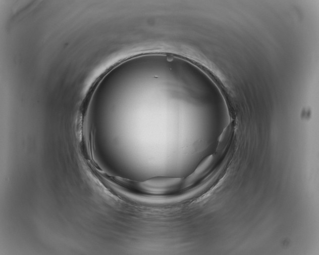 X0000090881510200707271301