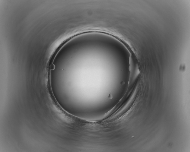 X0000090881511200707271301