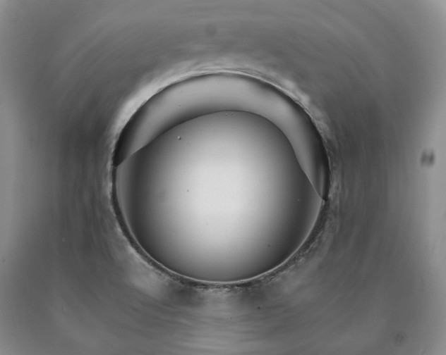 X0000090881512200707271301