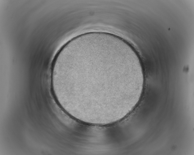 X0000090881514200707271301