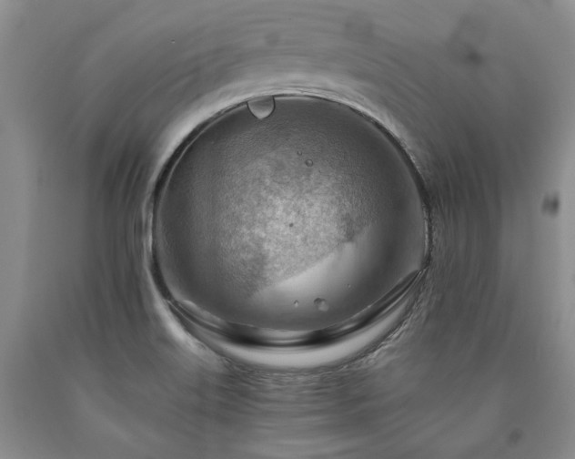 X0000090881515200707271301