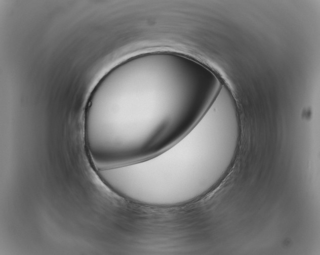 X0000090881516200707271301