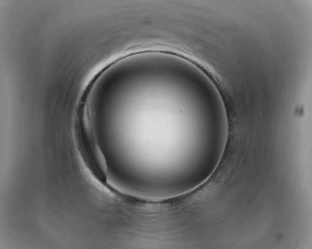 X0000090881518200707271301