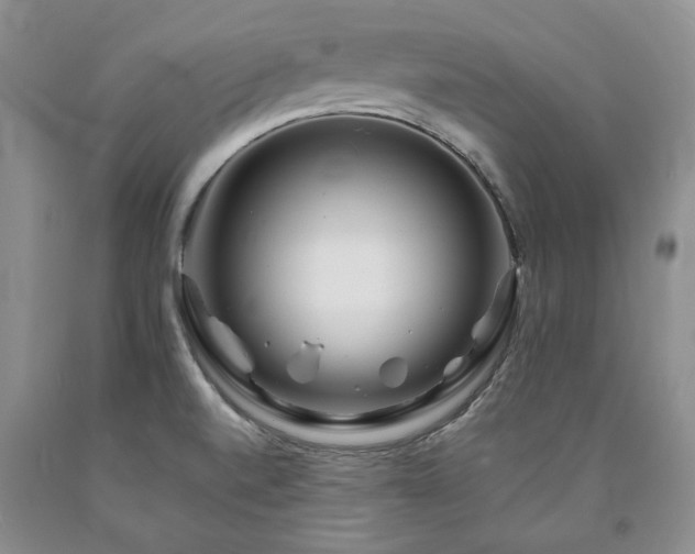 X0000090881520200707271301