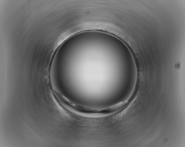 X0000090881521200707271301