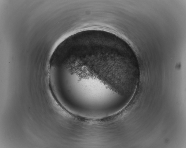 X0000090881522200707271301
