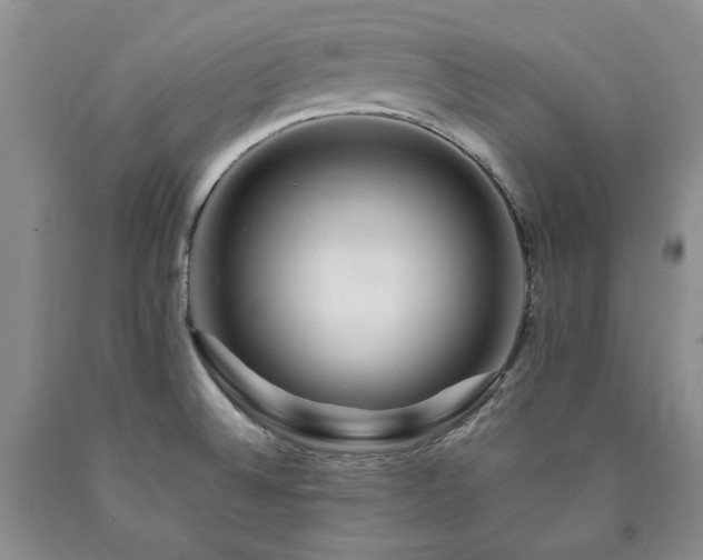 X0000090881524200707271301