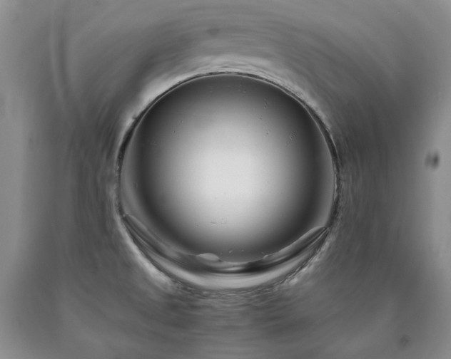 X0000090881525200707271301