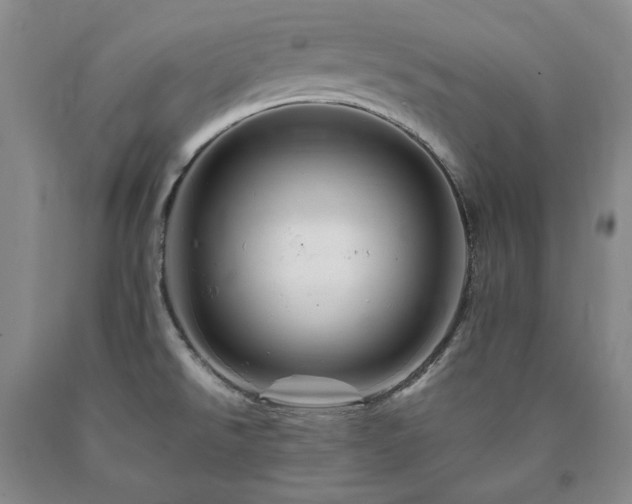 X0000090881526200707271301