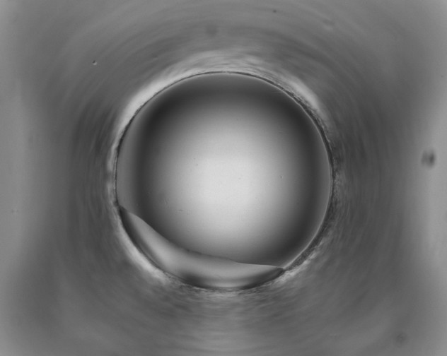 X0000090881528200707271301