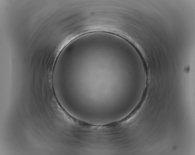 X0000090881529200707271301