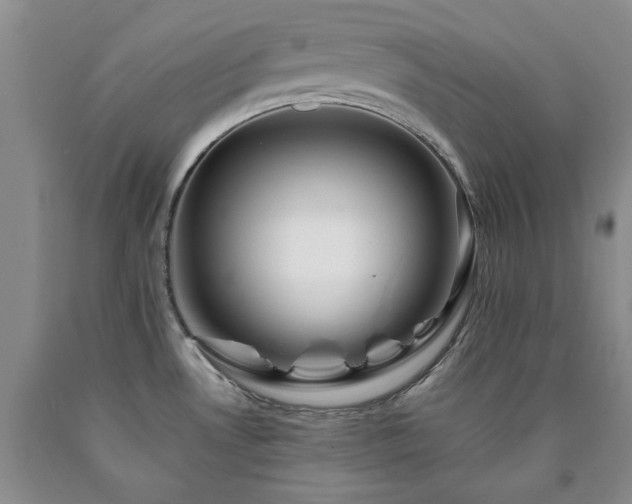 X0000090881530200707271301