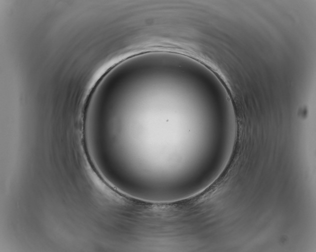 X0000090881531200707271301