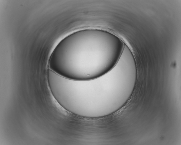 X0000090881532200707271301