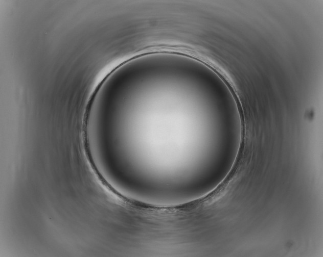 X0000090881533200707271301
