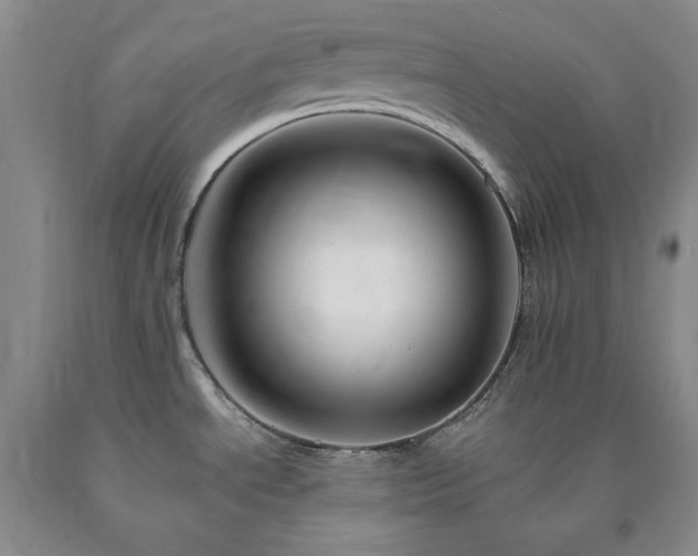 X0000090881534200707271301