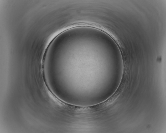 X0000090881535200707271301