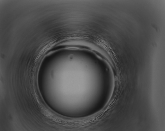 X0000090880001200708031041