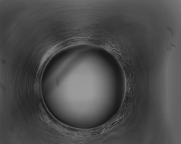 X0000090880004200708031041