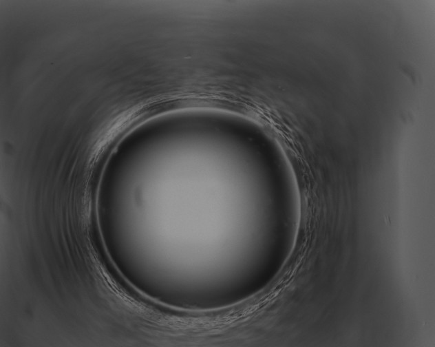 X0000090880005200708031041