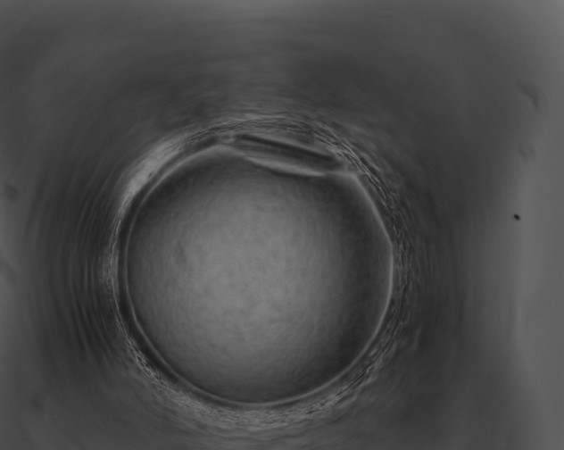 X0000090880006200708031041