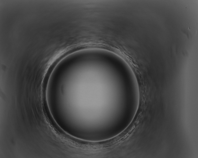 X0000090880008200708031041