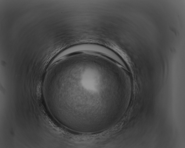 X0000090880009200708031041