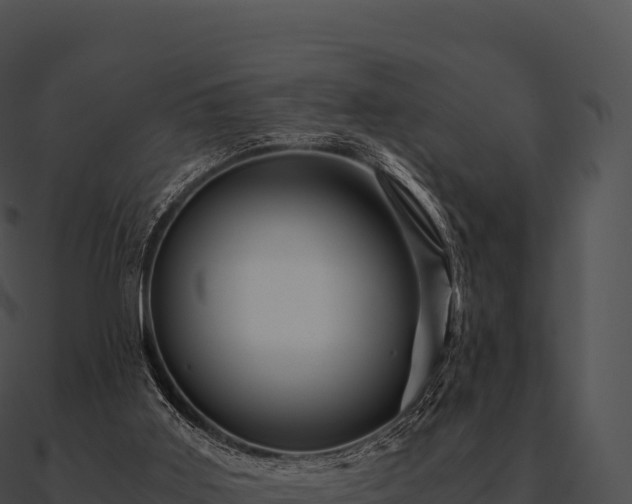 X0000090880011200708031041