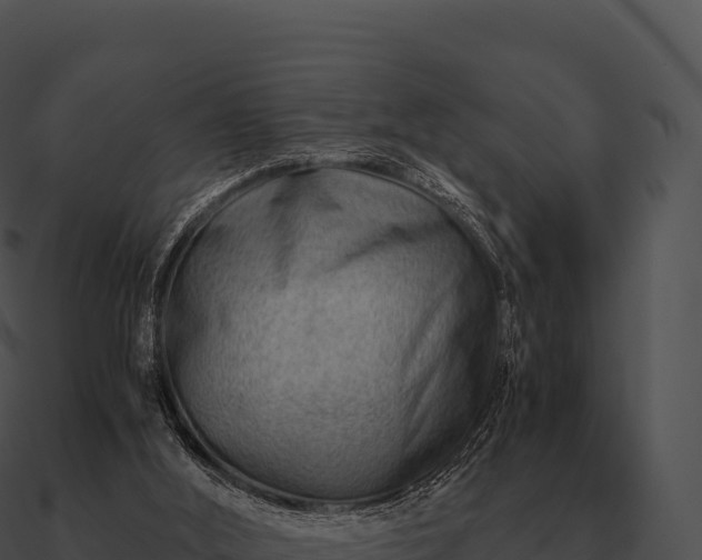 X0000090880012200708031041
