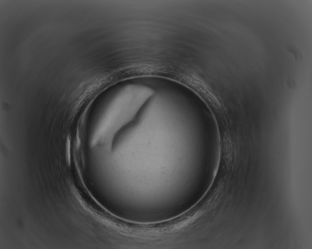 X0000090880014200708031041