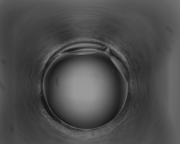 X0000090880015200708031041