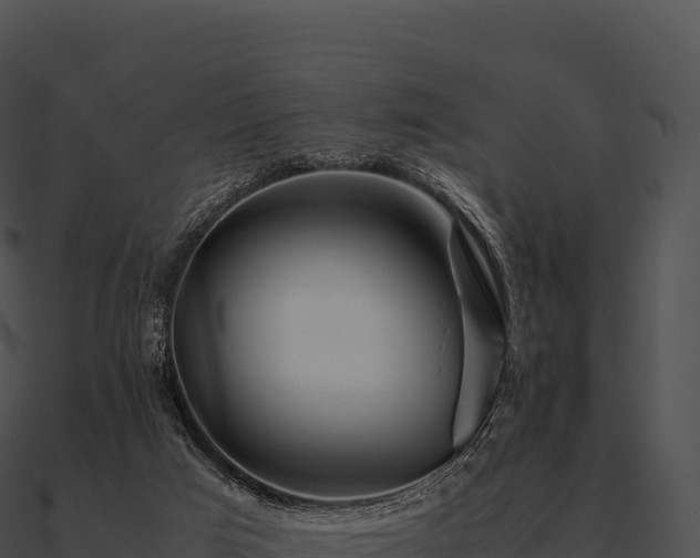 X0000090880017200708031041