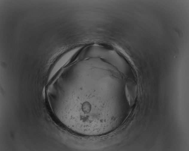 X0000090880019200708031041