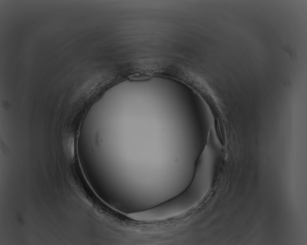 X0000090880021200708031041