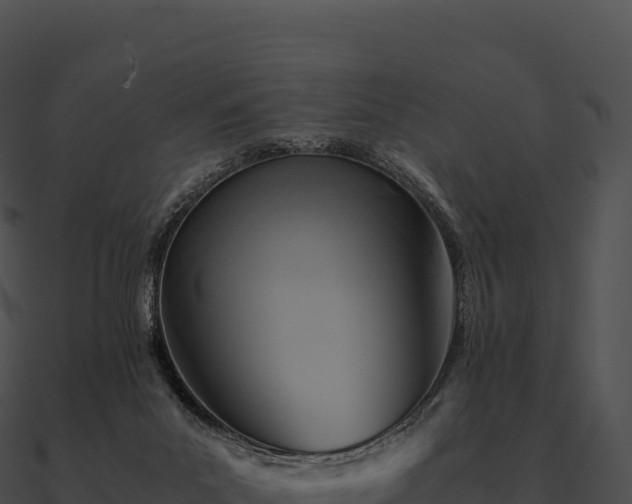X0000090880023200708031041
