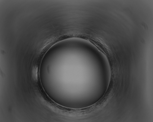X0000090880024200708031041