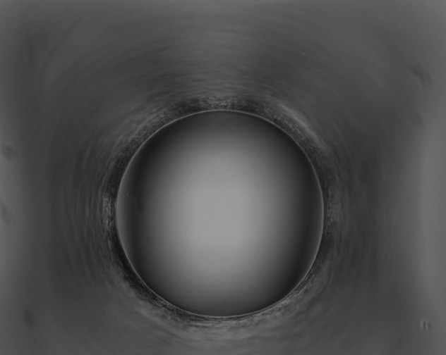 X0000090880025200708031041