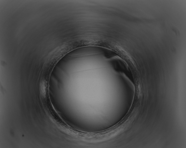 X0000090880026200708031041
